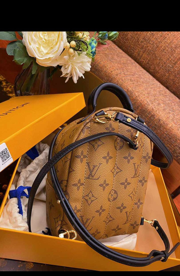 LV Bag