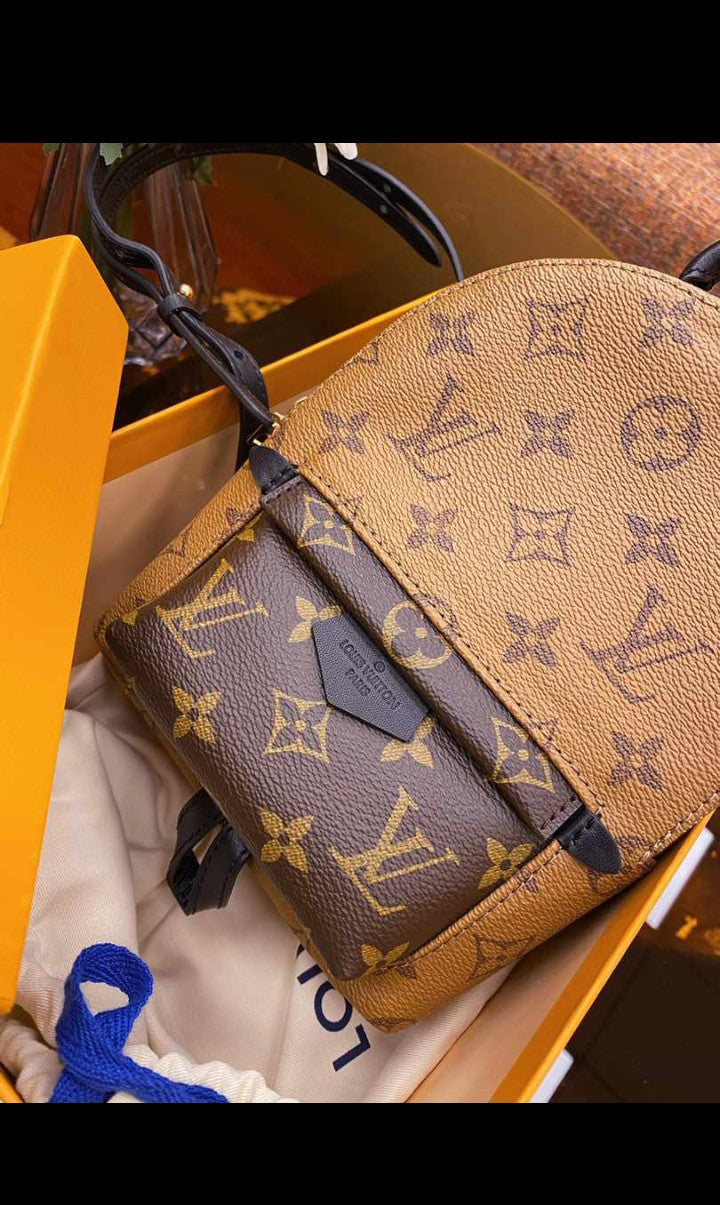 LV Bag